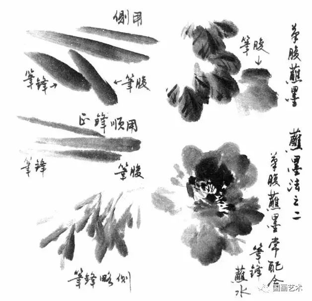 写意花鸟画笔墨技法详解!