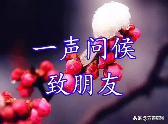 藏头顺口溜丨快乐星期天!