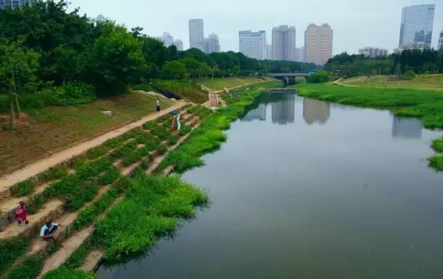 河道景观设计巧思_绿化