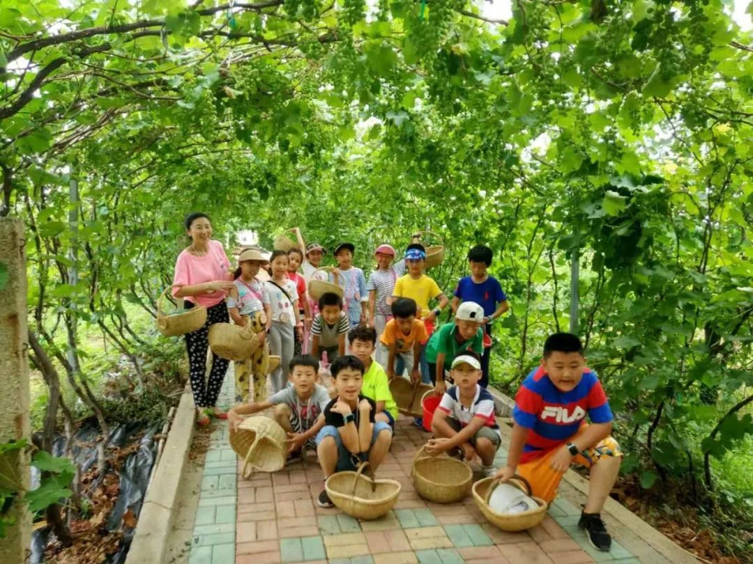 在南墅有这样一出研学基地