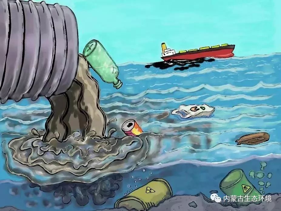 缠绕 海洋垃圾无处不在,很多海洋生物受到其影响,主要包括哺乳动物类