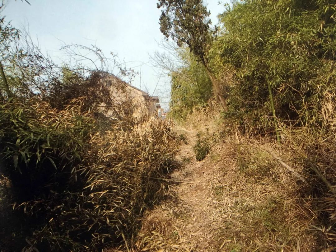 ▼大部分未上釉出土主要有瓶,壶,钵三种器形位于同光村太平山麓 为