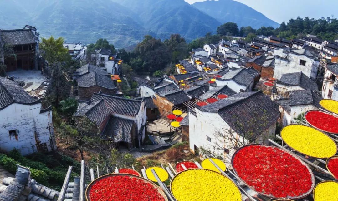 2090 婺源(篁岭)三清山-双高3日游