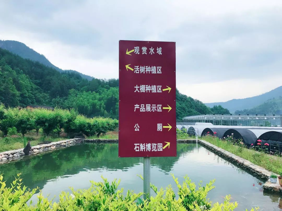 龙泉附近的旅游景点