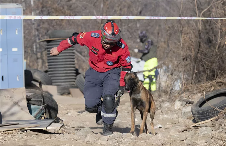 中国第一届国际标准搜救犬大赛圆满结束