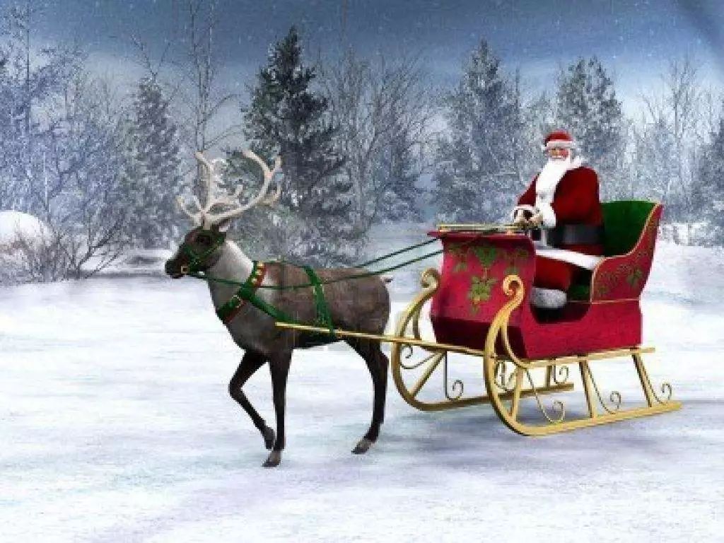 给圣诞老人拉雪橇的为什么是驯鹿?