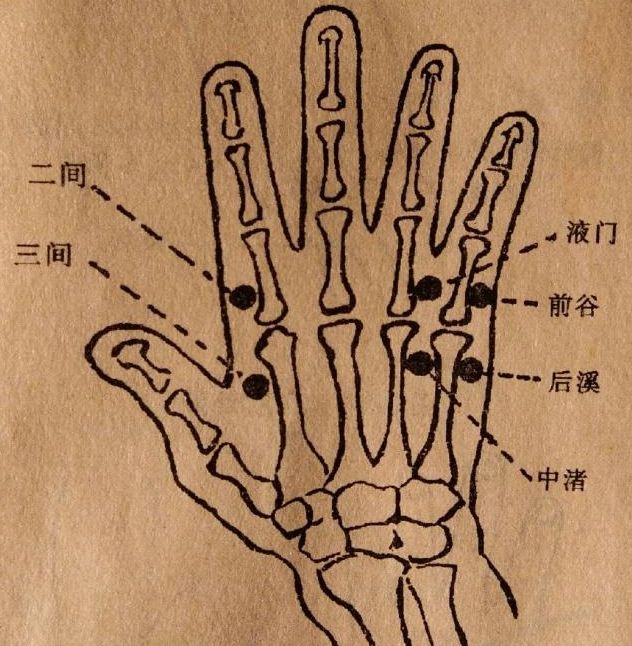 输穴-中渚穴(木)