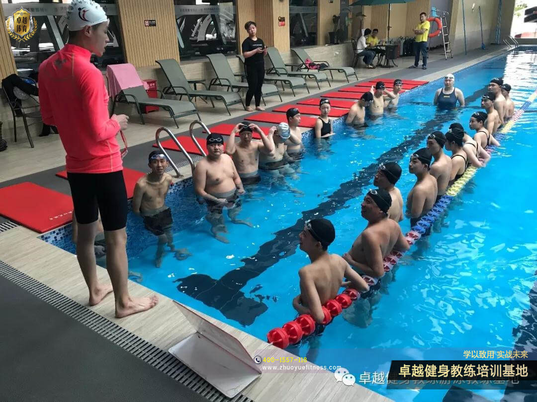 探营丨中国游泳队在国家体育总局训练局游泳馆进行训练_新体育网