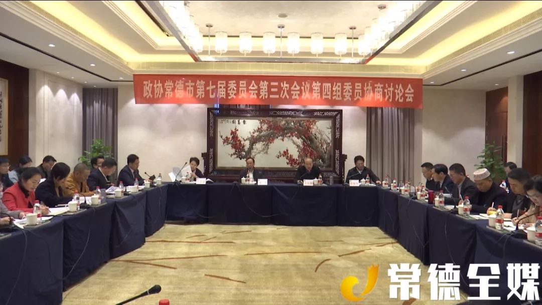 政协常德市第七届委员会第三次会议 | 市政协委员分组协商讨论