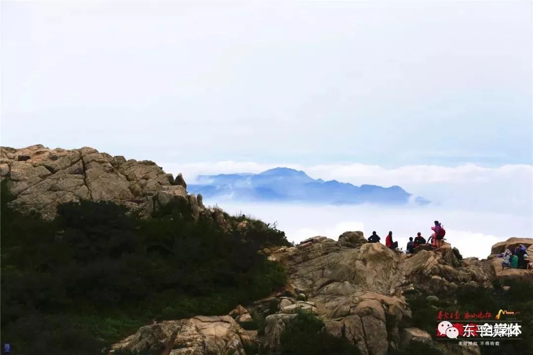 山东东平县多少人口_山东东平县李国玲