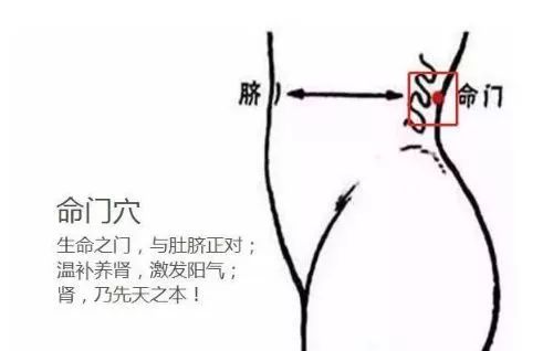 亿康金艾提醒您人体十大保健穴