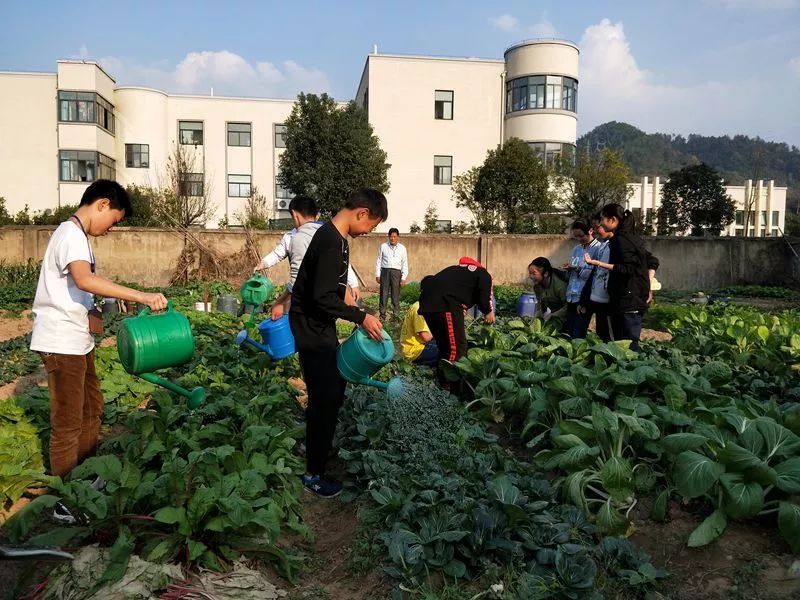 遇见校园劳动教育实践基地的精彩