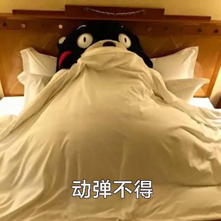 熊本熊表情包:只想在床上躺到地老天荒