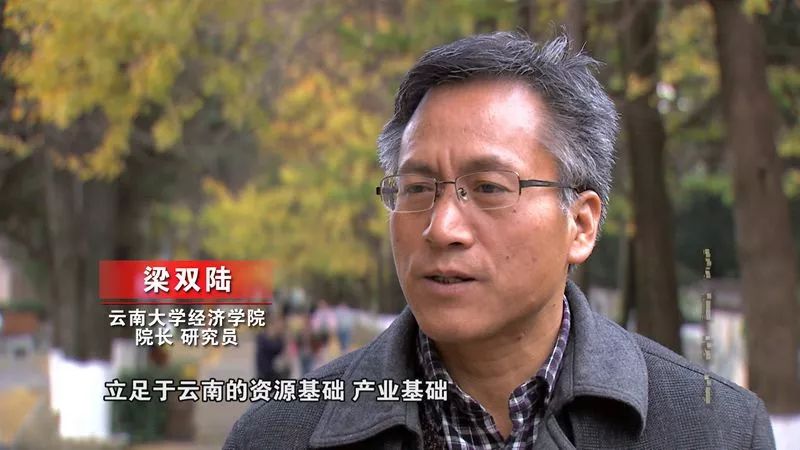 【同期】云南大学经济学院院长 研究员 梁双陆"党的十八大以来,云南