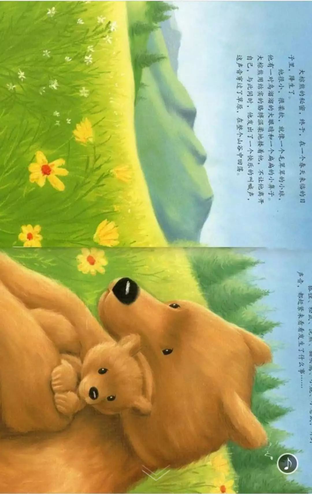 绘本故事(120)【大棕熊的秘密】