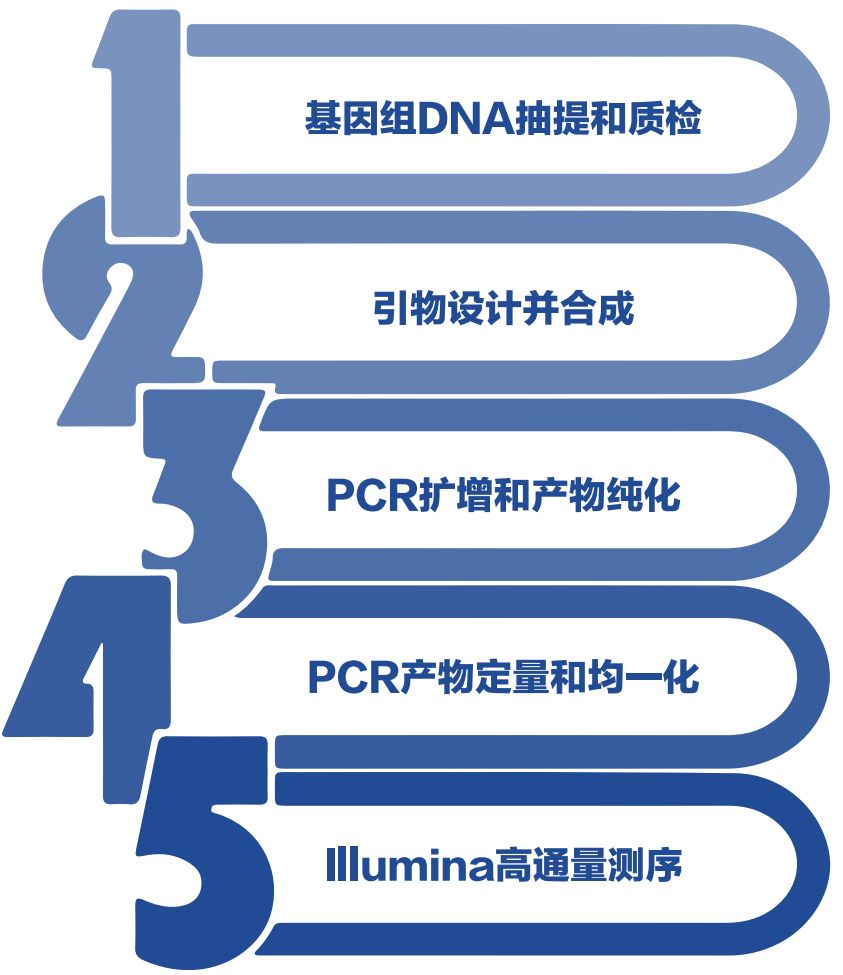 助力2019国自然基因申请微生物多样性测序解决的科研问题