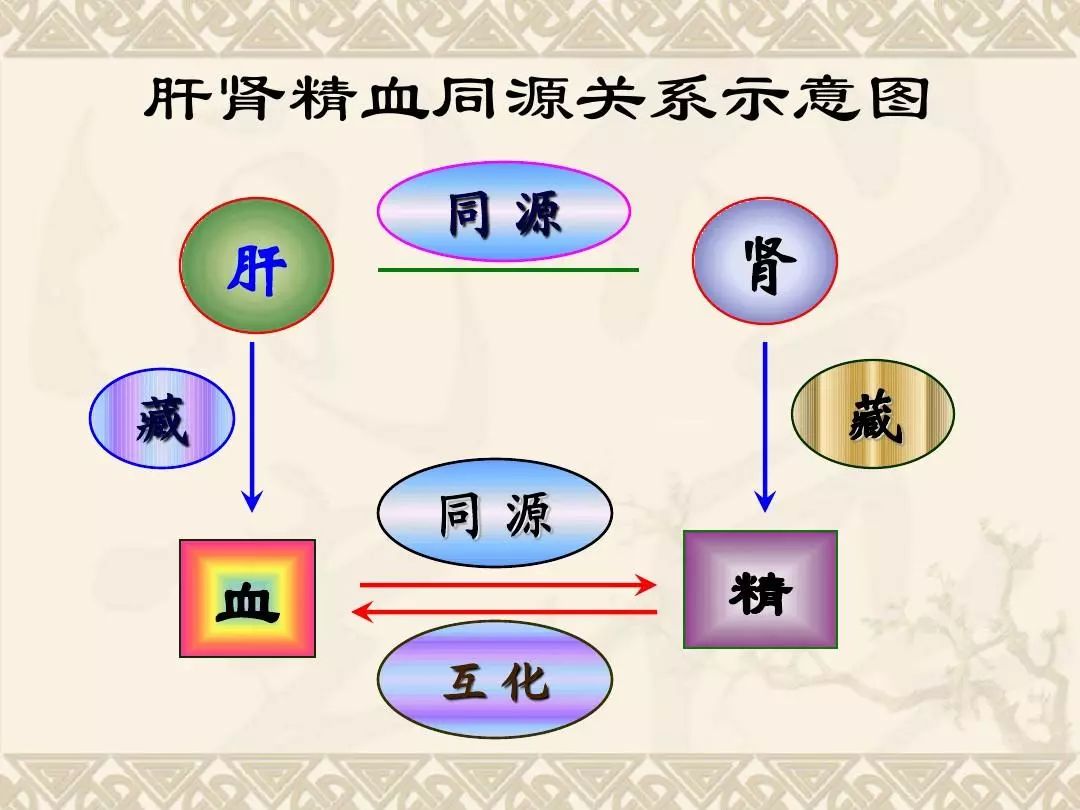 七,肝与肺的关系  肝藏血,肺藏气,肝气与肺气上下阴阳升降,以维持