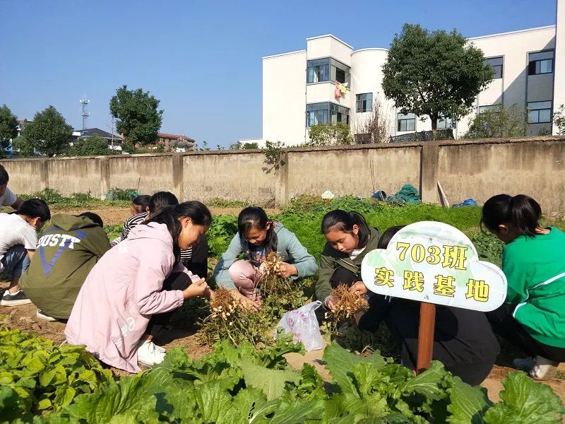 遇见校园劳动教育实践基地的精彩