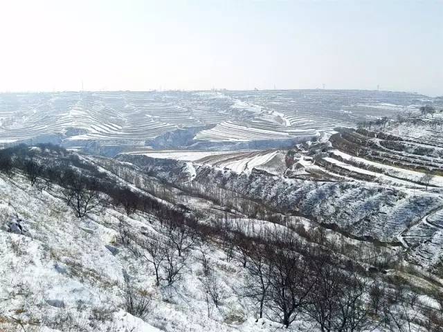 礼县太塘村人口_礼县大堡村图