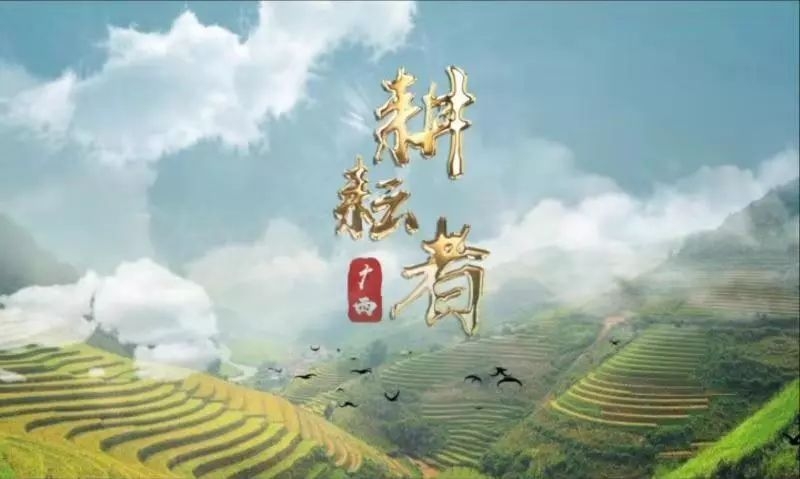 广西科教《耕耘者|镀了"金"的甘蔗