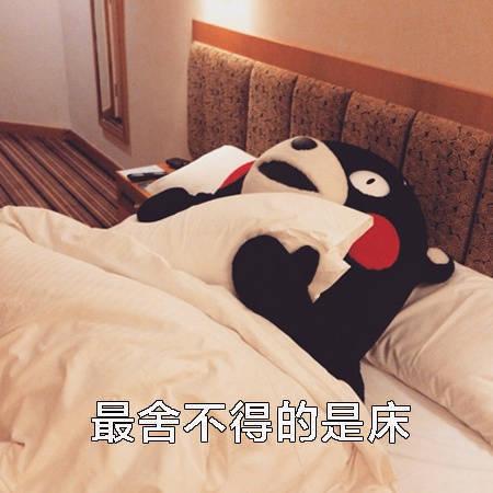 熊本熊表情包:只想在床上躺到地老天荒