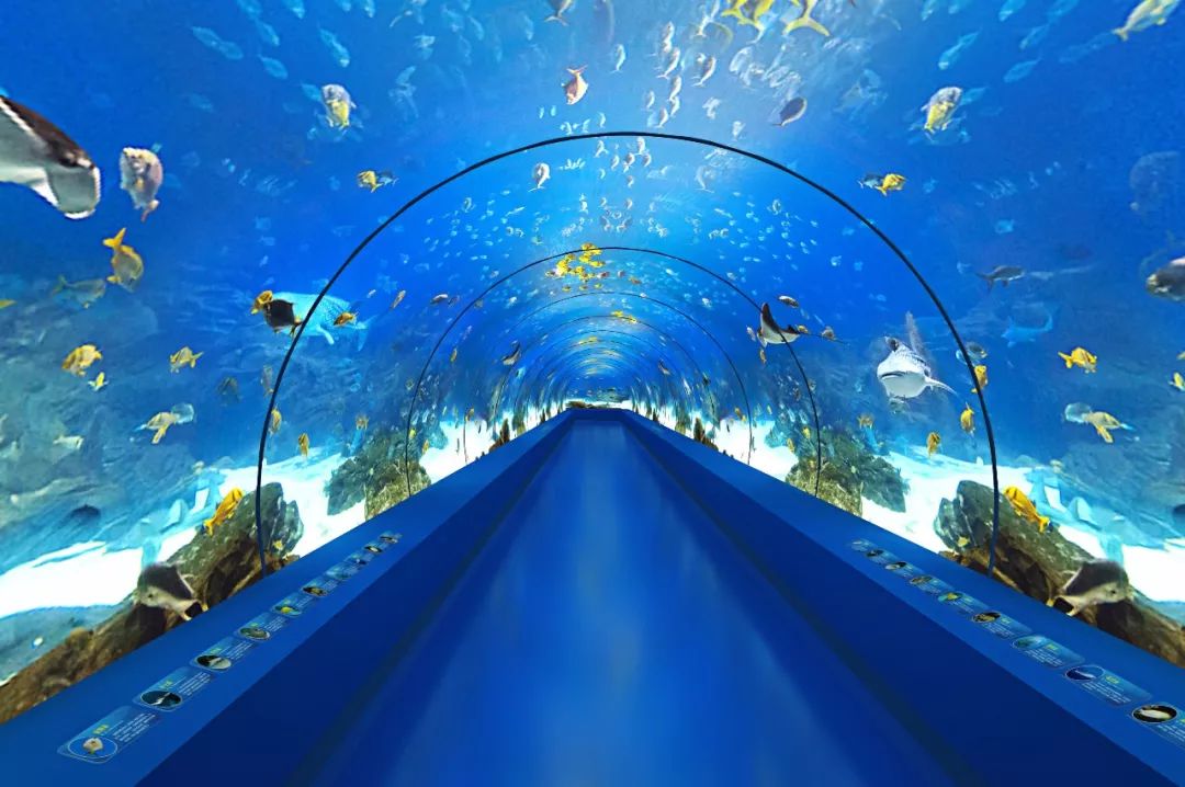 目前国内最长海底隧道150米