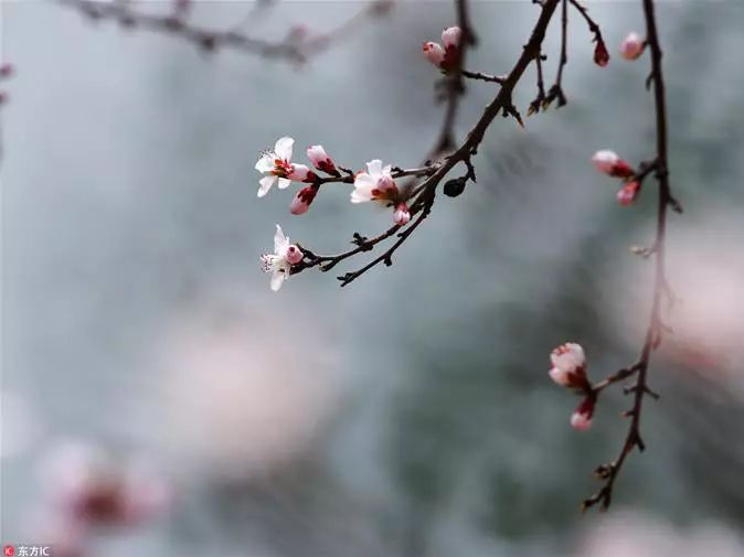 end-文字编辑:麻滨麒本期编辑:王馨扬责任编辑:刘宸岩 孙雪桐 杨子菲