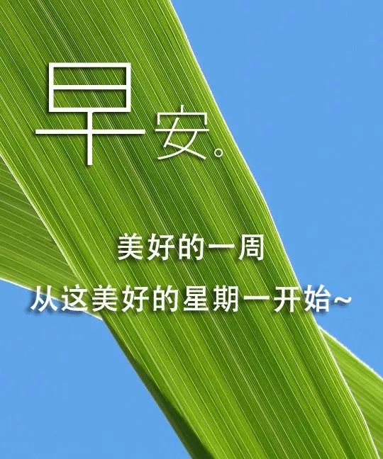 新的一周早上好祝福问候图片 发给朋友们早安问候句子