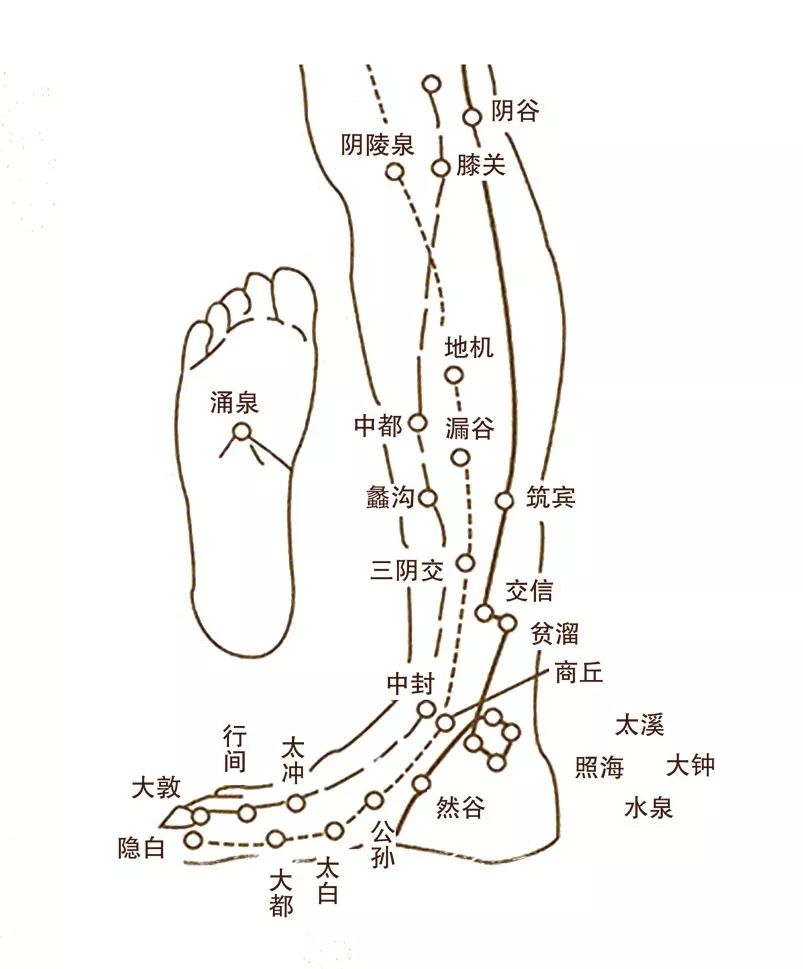 脚部是人体的一个重要部位,我们平时做按摩也好做足疗也好都知道脚部