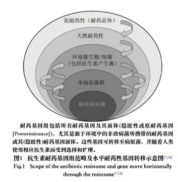 来源:抗生素耐