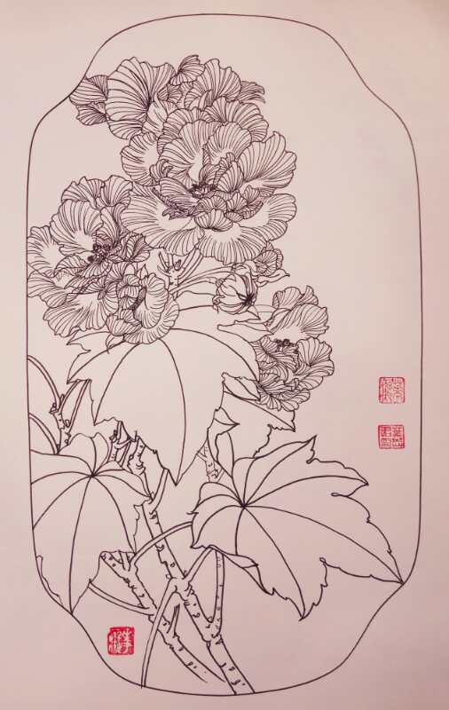 第八百一十幅——芙蓉(硬笔花卉白描习作)