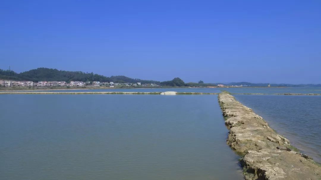 联新村地处大沙河水库周边,旅游资源得天独厚,是典型的水库移民村.