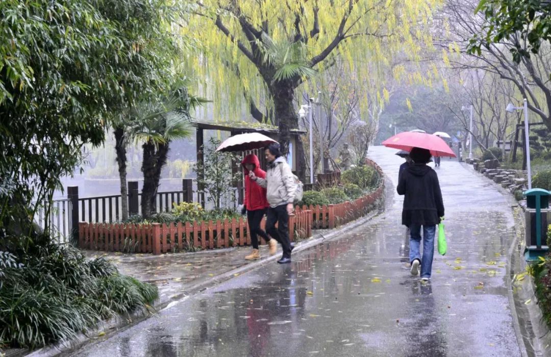 新民摄友细雨蒙蒙冬至来临