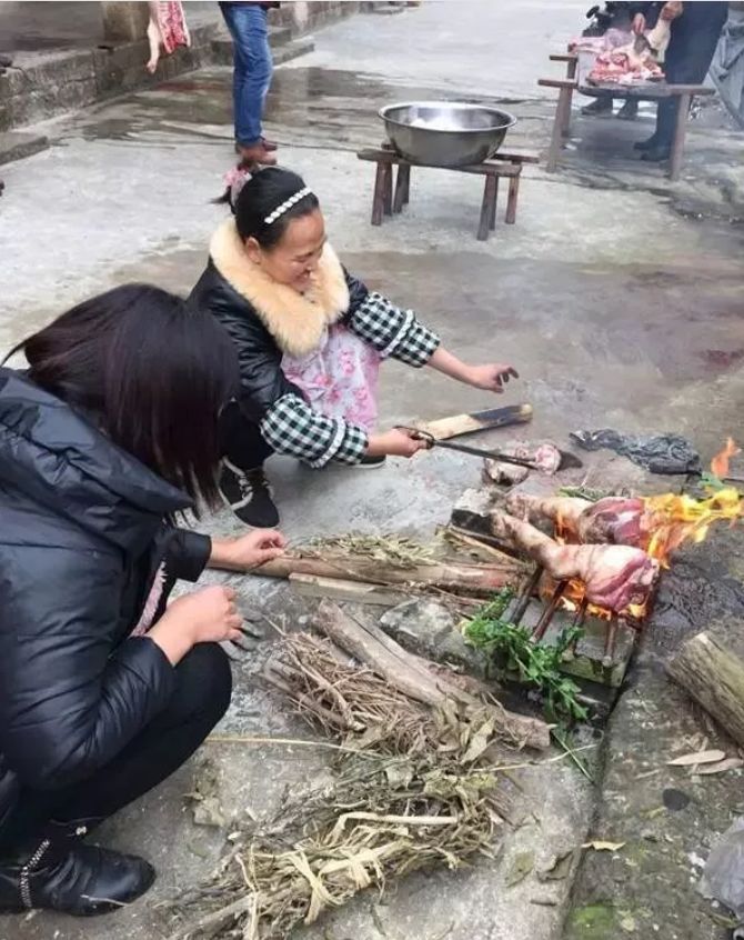 在关岭,有一种记忆叫杀过年猪,吃杀猪饭.