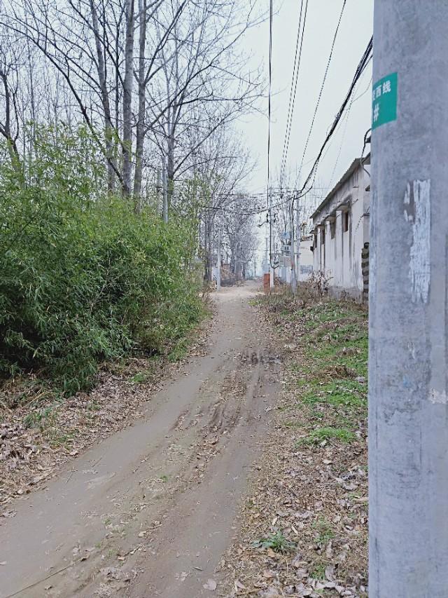 河南省漯河市保和乡竹园李村泥泞道路何时修正?