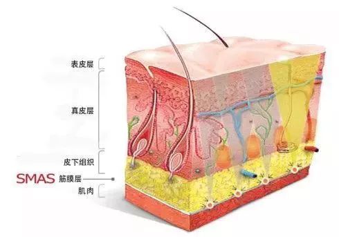 抗衰治疗也需"分层"_皮肤