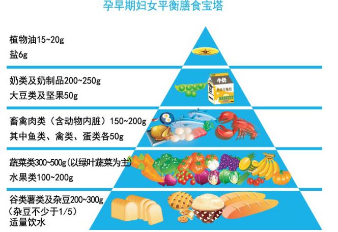 孕早期膳食搭配