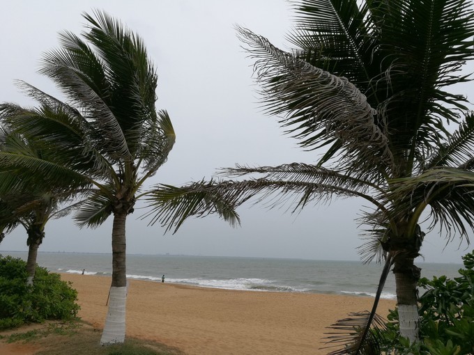 冬季遇见海口,不一样的暖冬美景