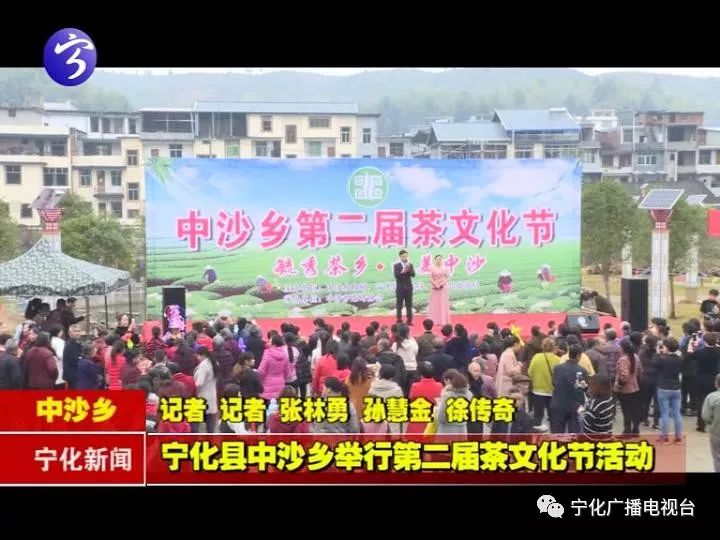 围观宁化县中沙乡举办第二届茶文化节千名游客前来游玩