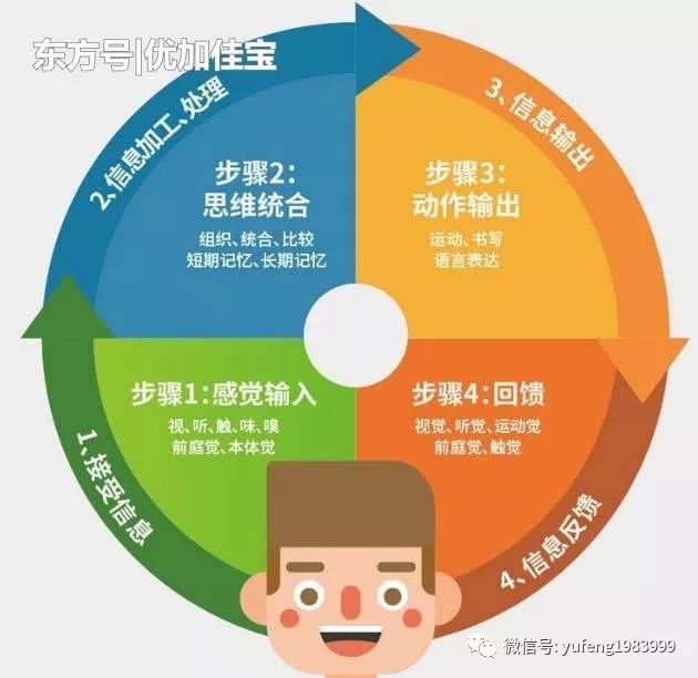 感统知识您知道感统训练到底练的是什么吗