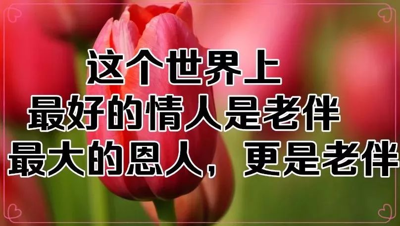 一天送给陪伴我的朋友们一声问候,一份祝福祝福朋友的心不曾改变一年