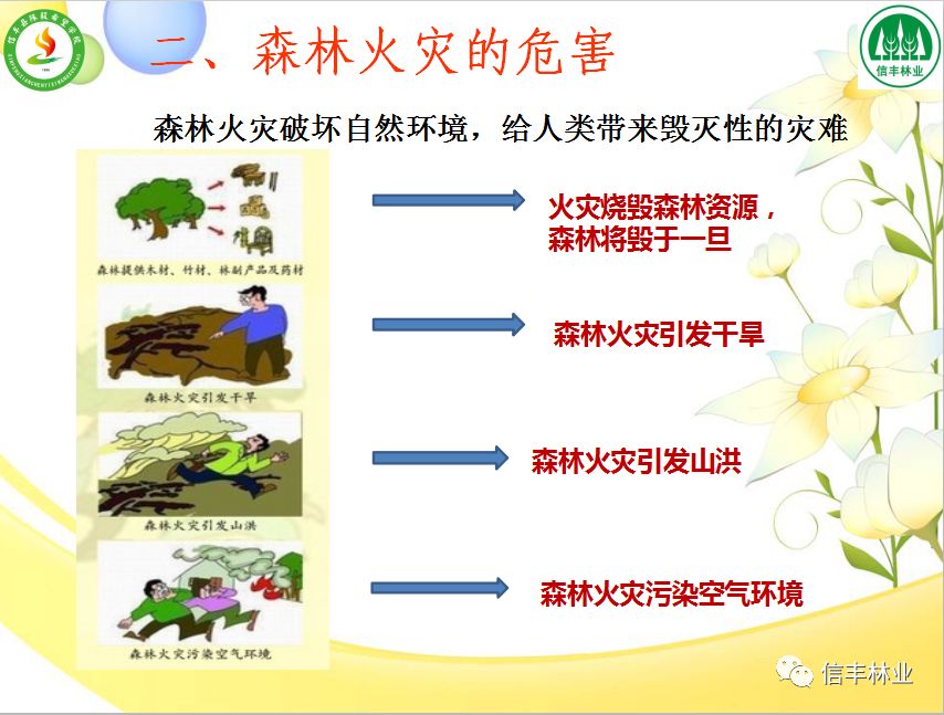 森林火灾的危害