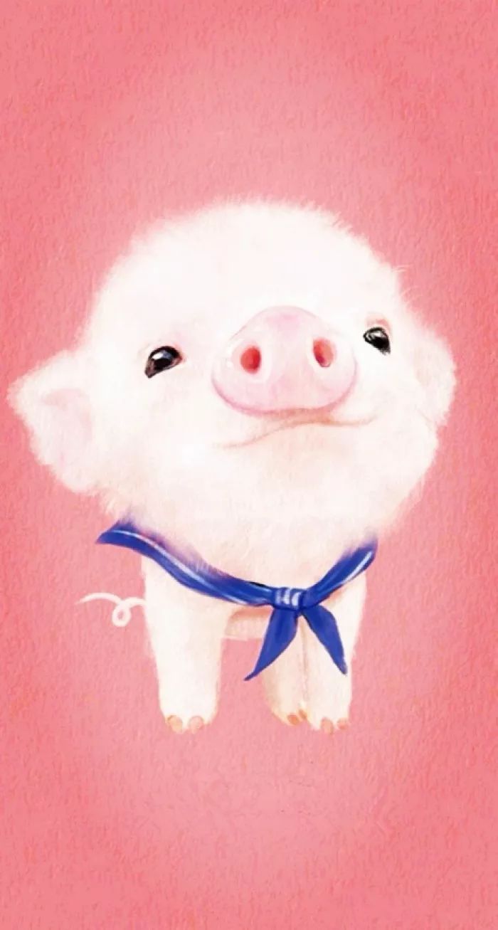 新年壁纸 | 2019的猪猪壁纸已送到,请查收!