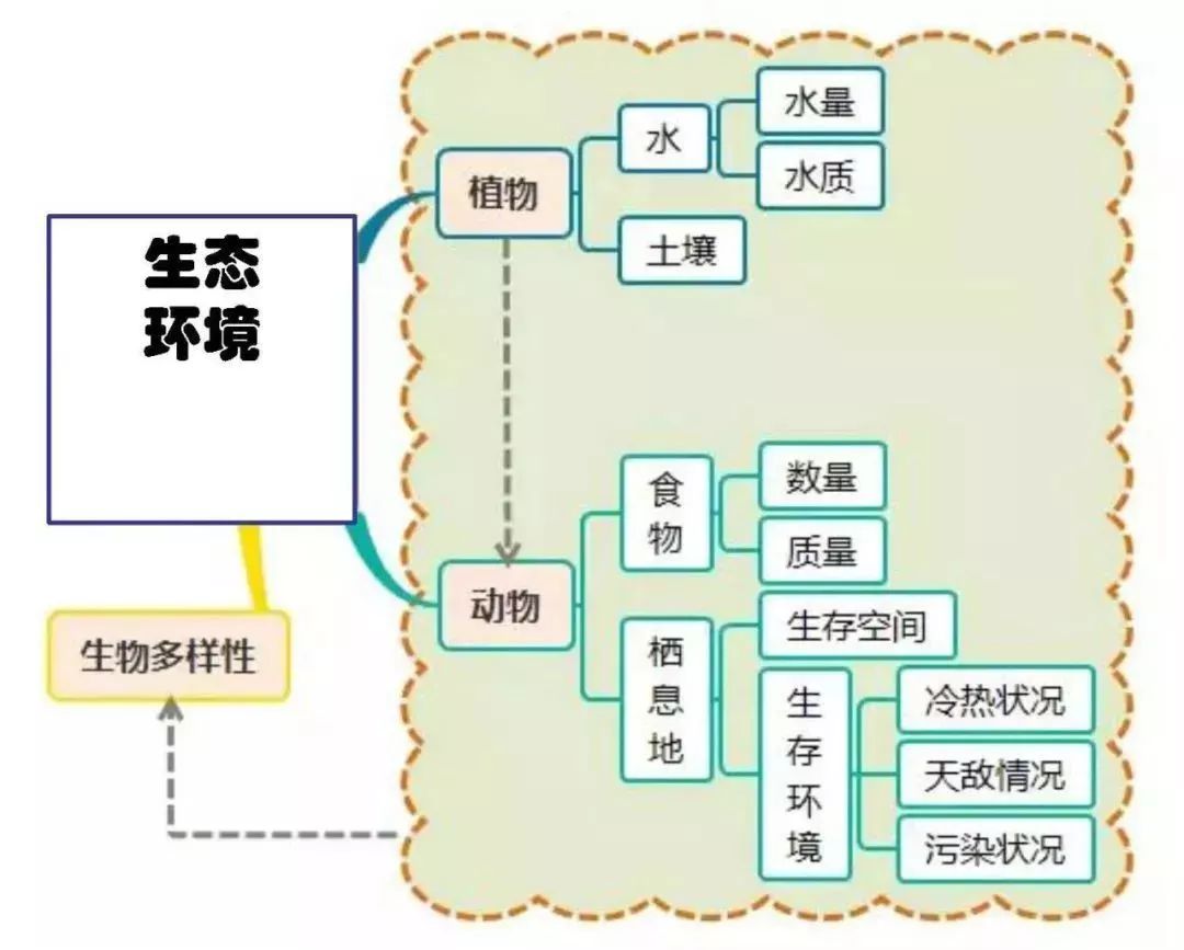 高中地理思维导图最全知识汇总毫不犹豫的收藏了