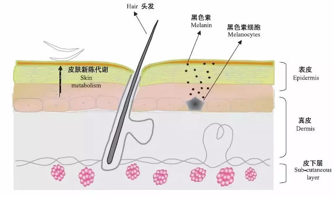 皮肤暗沉怎么办