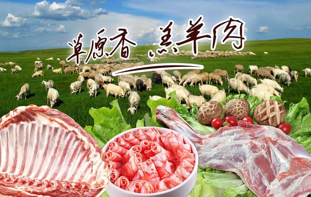 国家获奖企业——先秾坛草原香羔羊肉,品味锡林郭勒大