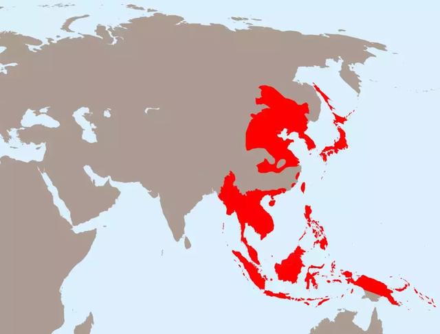 1945年日本人口_1911年至1945年日本人口(3)