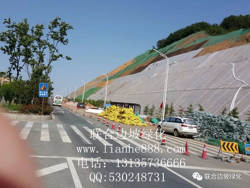 湖北应广城市道路边坡复绿工程_绿化