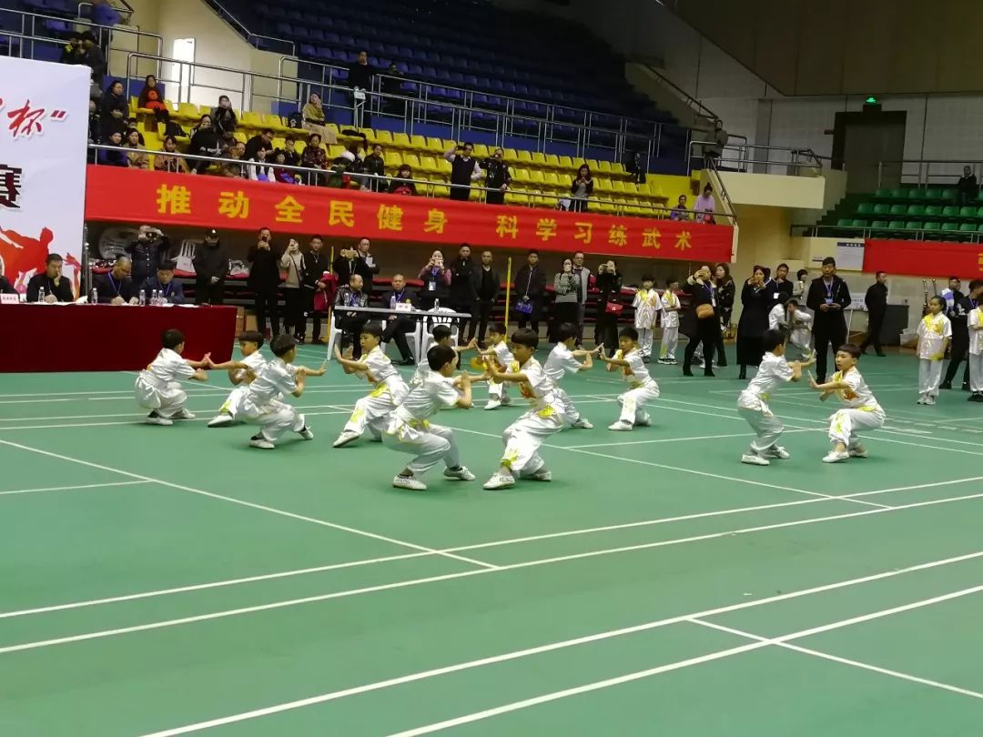 平阳县第18届中小学生体育节"体彩杯"武术段位制套路比赛成功举行