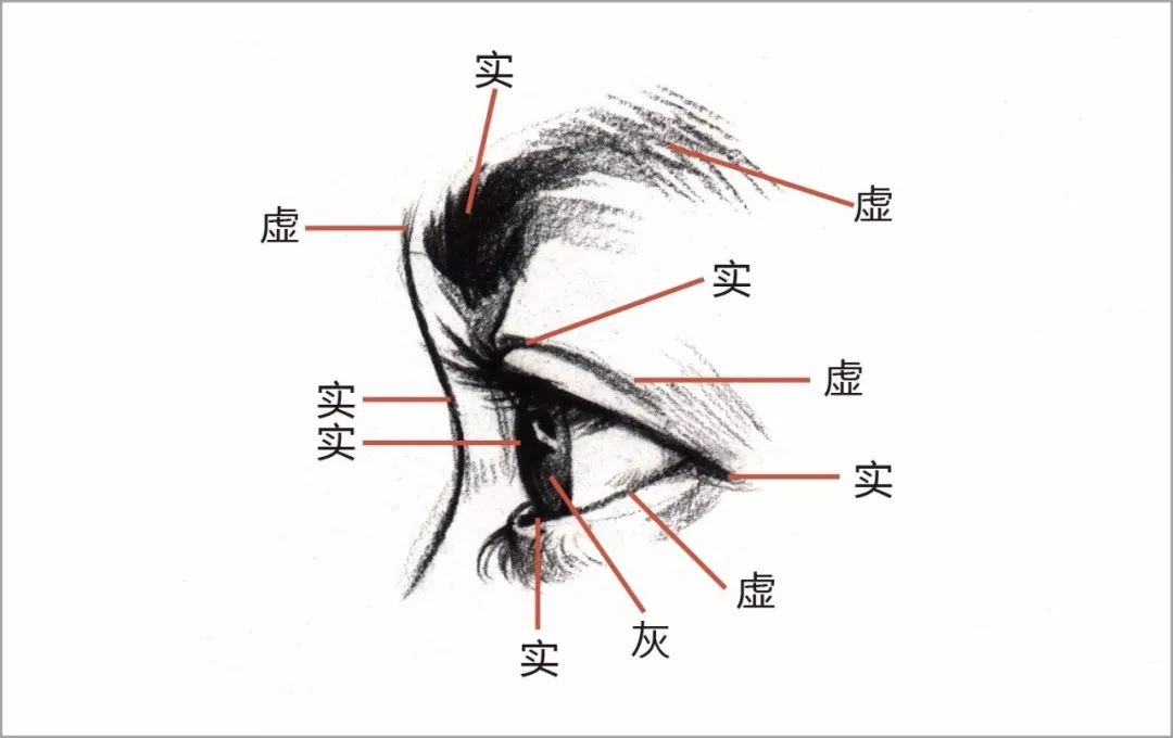 插本高分卷广美速写教程超详细解析速写五官大礼包